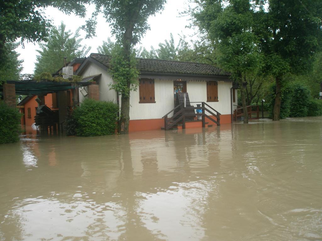 Bortolino Viadana